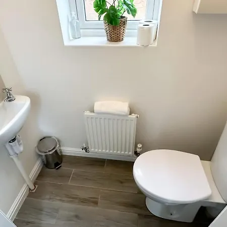 Beck House By Blue Skies